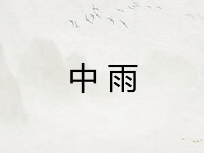 中雨