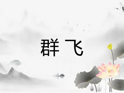 群飞
