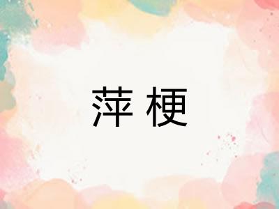 萍梗