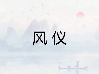 风仪