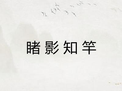 睹影知竿
