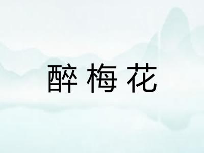 醉梅花