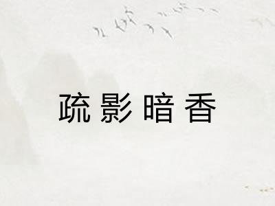 疏影暗香