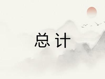 总计