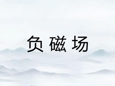 负磁场