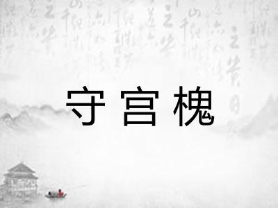 守宫槐