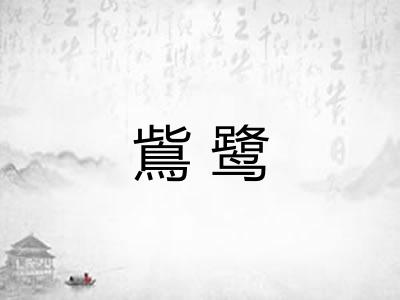 鴜鹭