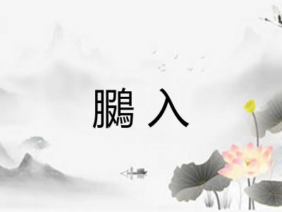 鵩入