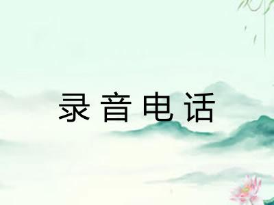 录音电话
