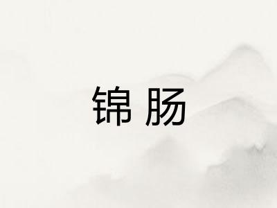 锦肠