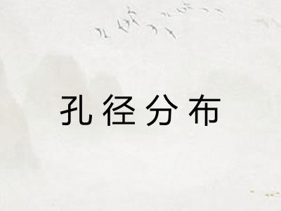 孔径分布