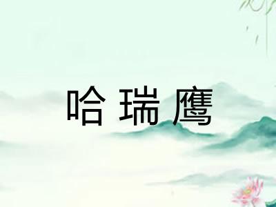 哈瑞鹰