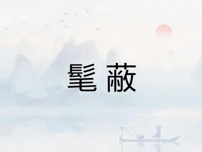 髦蔽