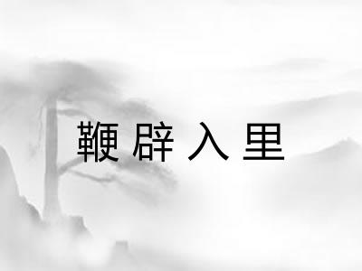 鞭辟入里