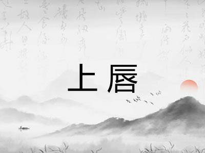 上唇