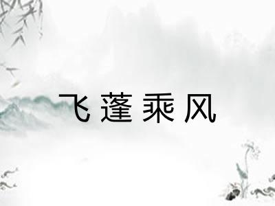 飞蓬乘风