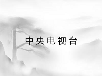 中央电视台