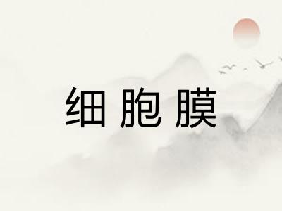 细胞膜