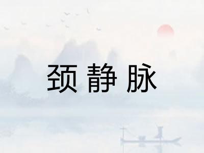 颈静脉