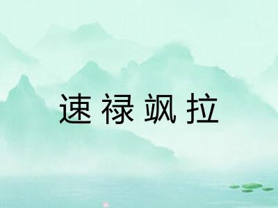 速禄飒拉
