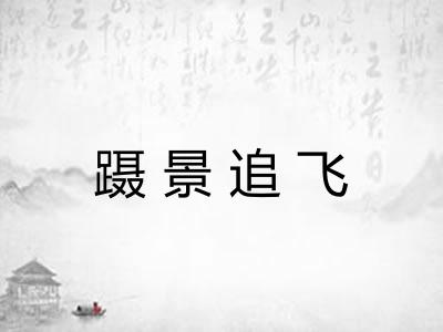 蹑景追飞