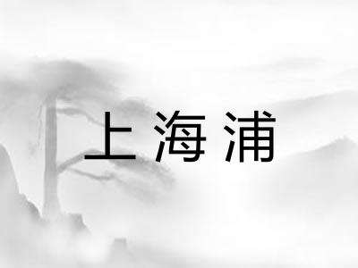 上海浦