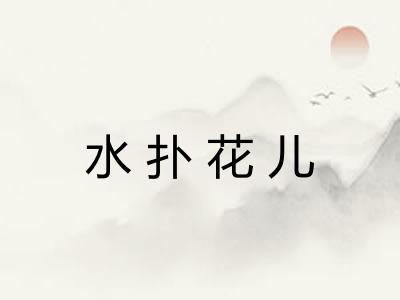 水扑花儿