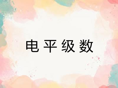 电平级数