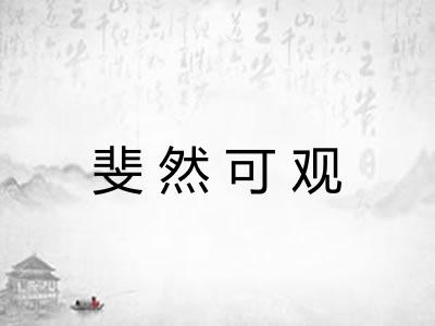 斐然可观