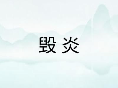 毁炎