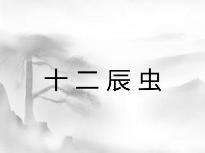 十二辰虫