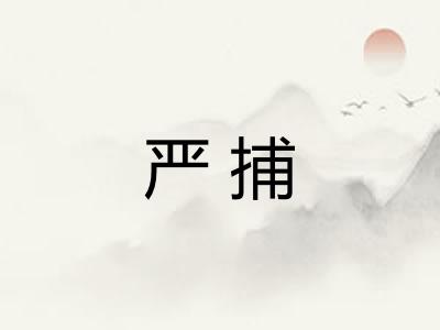 严捕