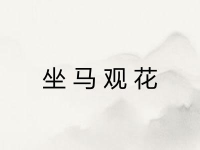 坐马观花