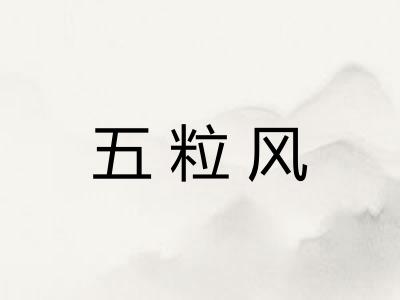 五粒风