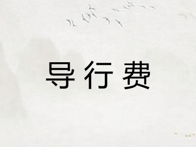 导行费