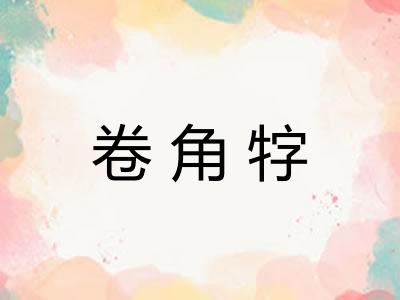 卷角牸