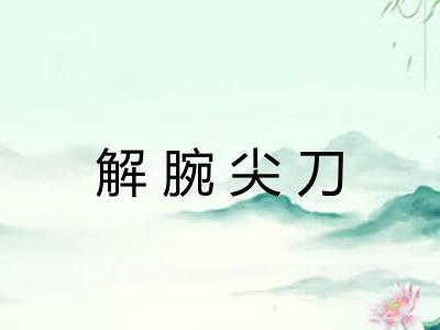 解腕尖刀
