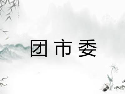 团市委
