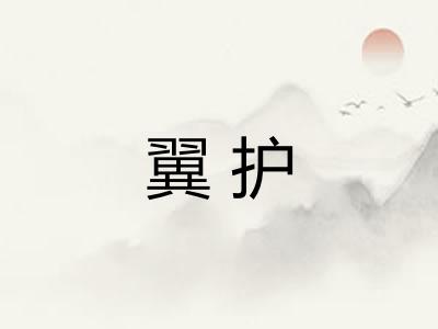 翼护