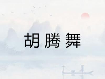 胡腾舞