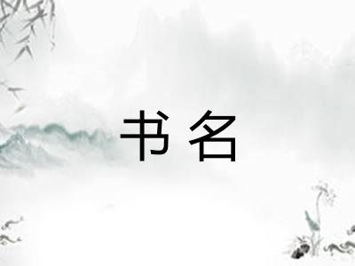 书名