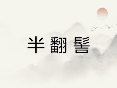 半翻髻