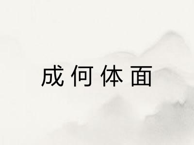 成何体面