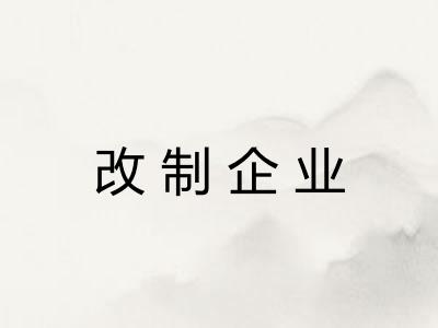 改制企业