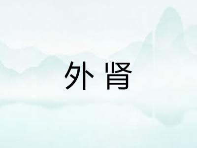 外肾