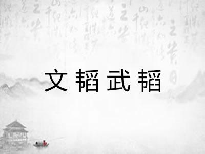 文韬武韬