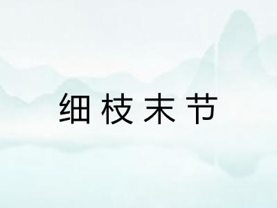细枝末节