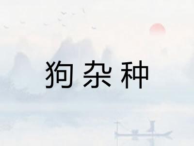 狗杂种