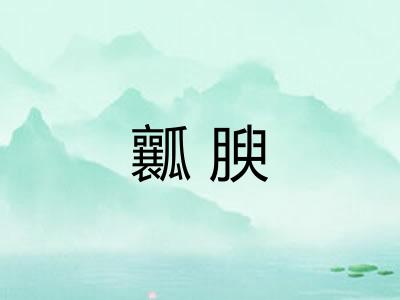 瓤腴