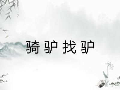 骑驴找驴
